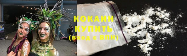 прущие грибы Богданович