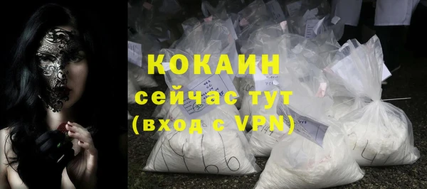 прущие грибы Богданович