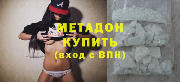 прущие грибы Богданович
