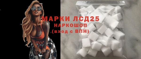 прущие грибы Богданович