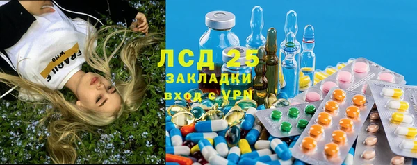прущие грибы Богданович