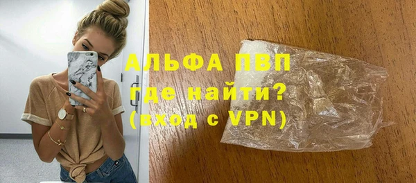 прущие грибы Богданович