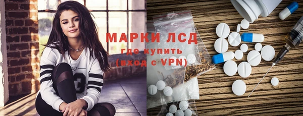 прущие грибы Богданович
