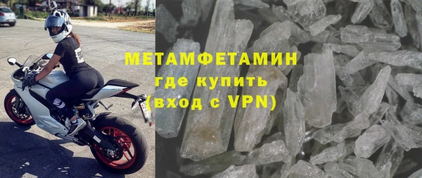 прущие грибы Богданович