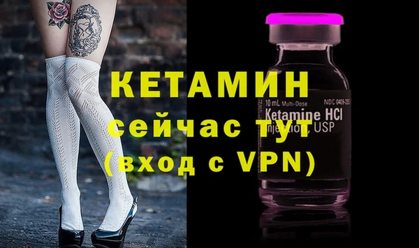 прущие грибы Богданович