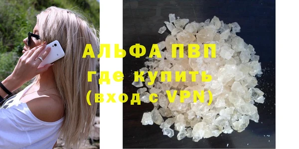 прущие грибы Богданович