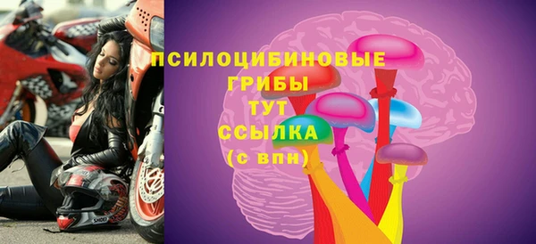 прущие грибы Богданович