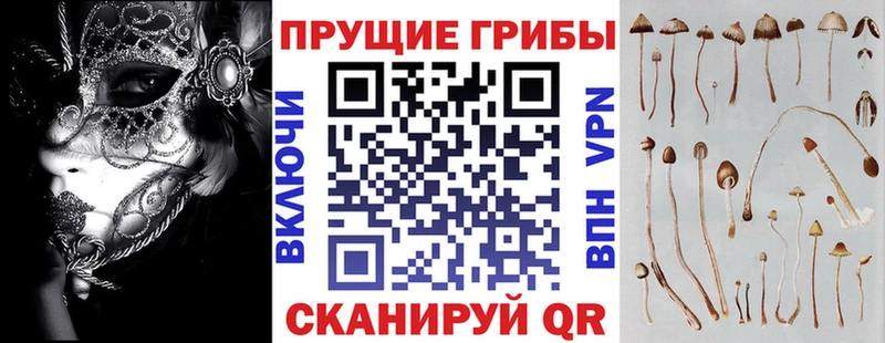 сколько стоит  Набережные Челны  Галлюциногенные грибы MAGIC MUSHROOMS 