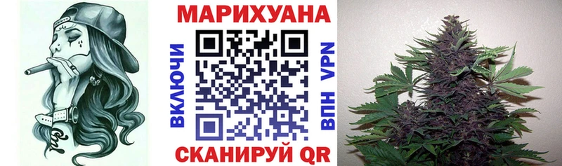 магазин  наркотиков  Набережные Челны  Шишки марихуана сатива 
